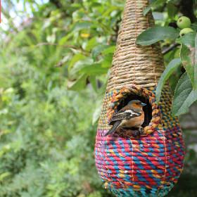 Bird Nest boxes