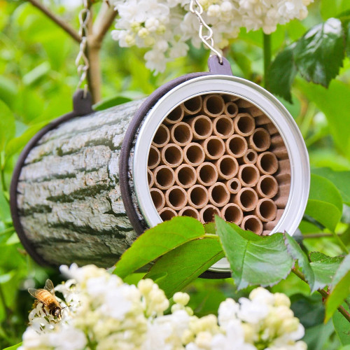 The Bee Nester Barrel
