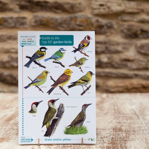Field Guide - Ladybirds