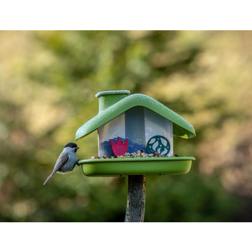 Bird Feeder - Domek - Green
