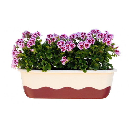 Flower Box 60cm - IVORY-RED (incl. water reservoir)
