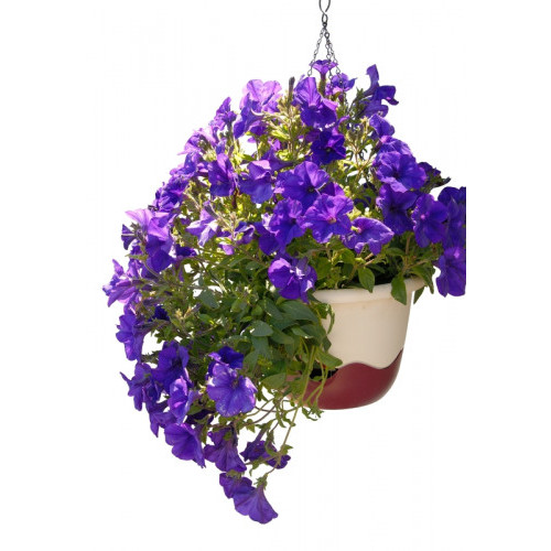 Hanging Flower Pot - BEIGE/WINE (incl. water reservoir)