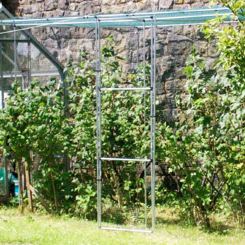 Walk In Fruit Cage Size: 6ft x 12ft