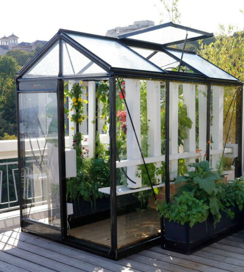 1.59m x 2.98m Greenhouse