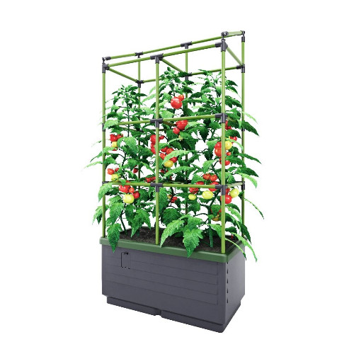 Tomato Plant Tower with trellis support c/w water reservoir