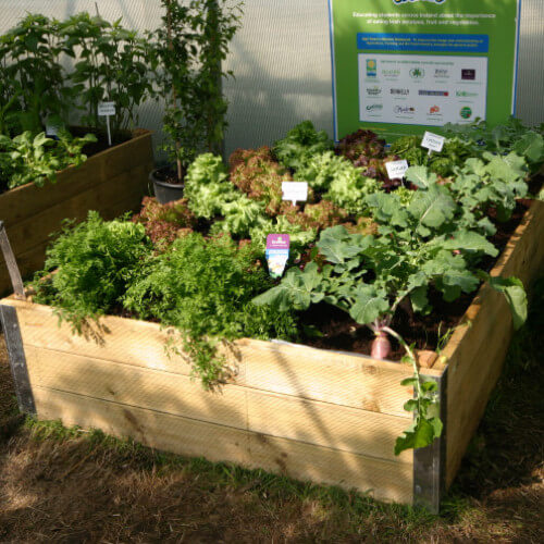 Raised Timber Beds (16