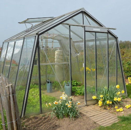 3.06m x 2.98m Greenhouse (S104H)