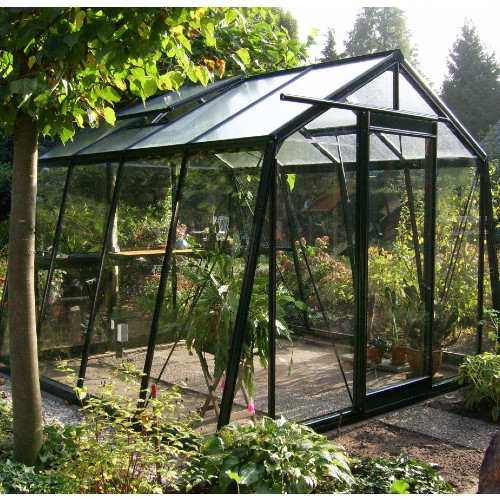 3.80m x 5.93m Greenhouse (BLACKLINE) S208H 