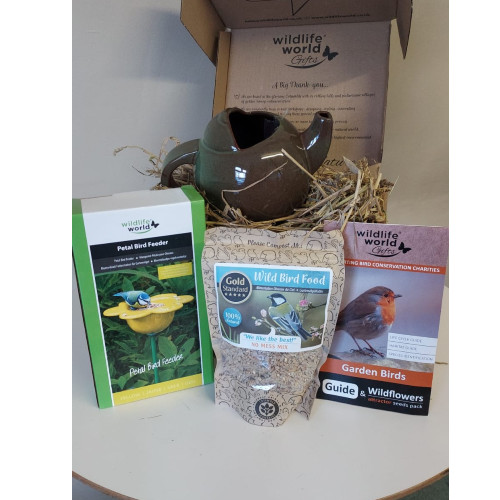 Tea Pot Robin Nest Gift set