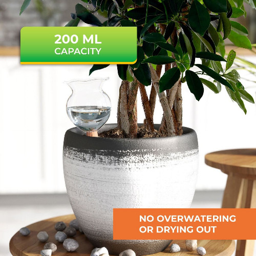 Watering for Potted plants (Indoor)